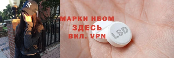 прущие грибы Куйбышев