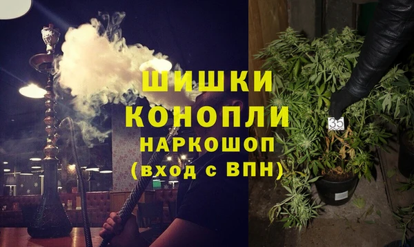 прущие грибы Куйбышев