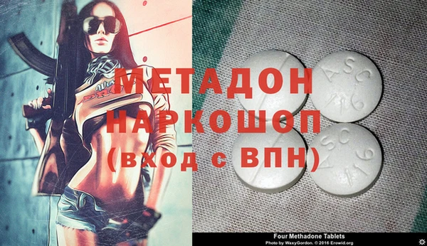 прущие грибы Куйбышев