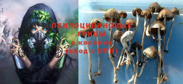 прущие грибы Куйбышев