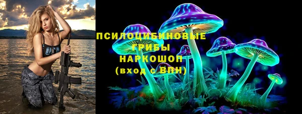 прущие грибы Куйбышев